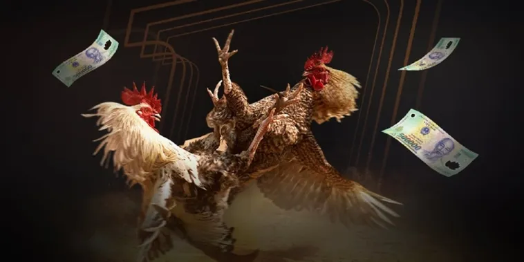 Trải Nghiệm Kịch Tính Cơ Hội Thắng Lớn Tại Sới Đá Gà Vui88 1 Trải Nghiệm Kịch Tính Cơ Hội Thắng Lớn Tại Sới Đá Gà Vui88